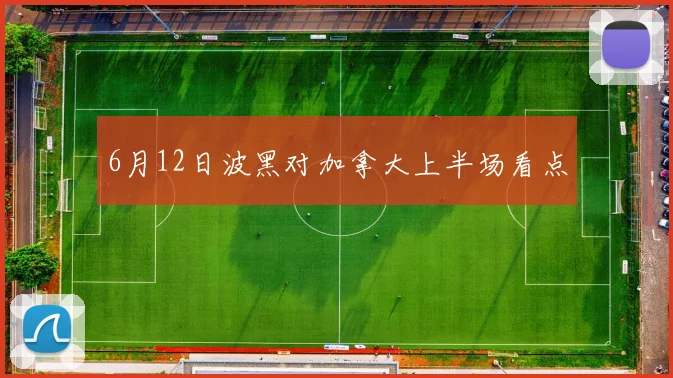 6月12日波黑对加拿大上半场看点