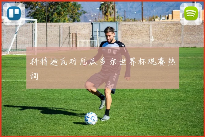 科特迪瓦对厄瓜多尔世界杯观赛热词