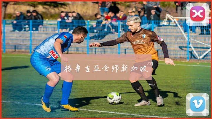 格鲁吉亚会师新加坡