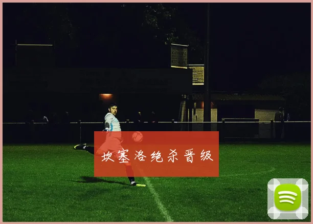 坎塞洛绝杀晋级
