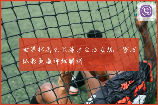世界杯怎么买球才合法合规｜官方体彩渠道详细解析