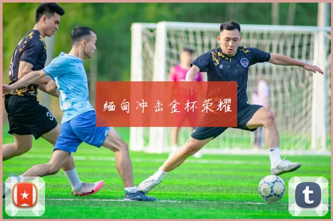 缅甸冲击金杯荣耀