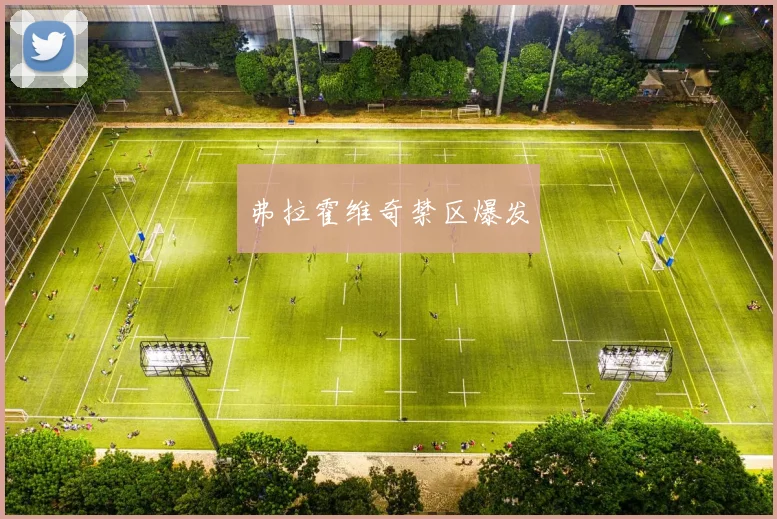 弗拉霍维奇禁区爆发