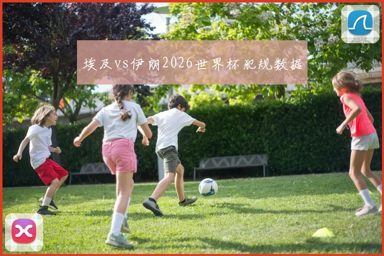 埃及vs伊朗2026世界杯犯规数据
