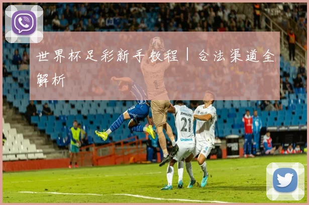 世界杯足彩新手教程｜合法渠道全解析