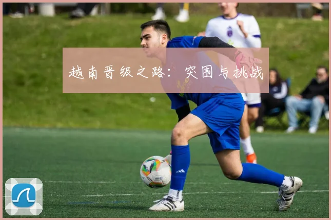 越南晋级之路：突围与挑战