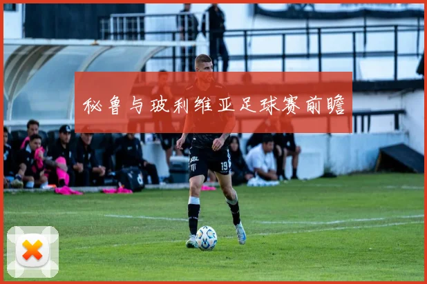 秘鲁与玻利维亚足球赛前瞻