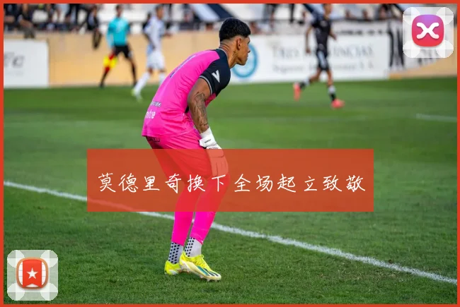 莫德里奇换下全场起立致敬