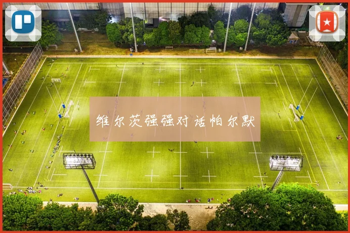维尔茨强强对话帕尔默