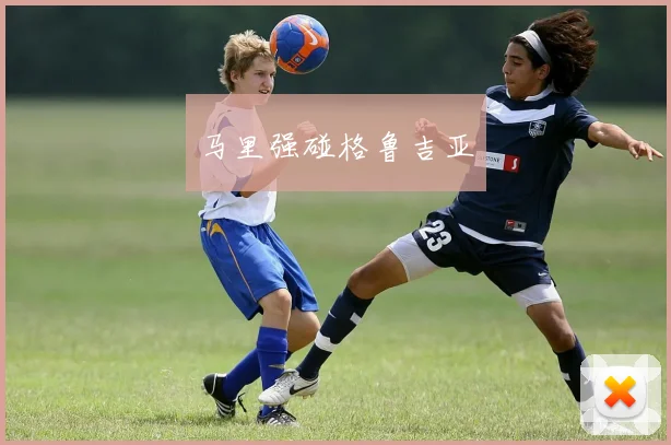 马里强碰格鲁吉亚