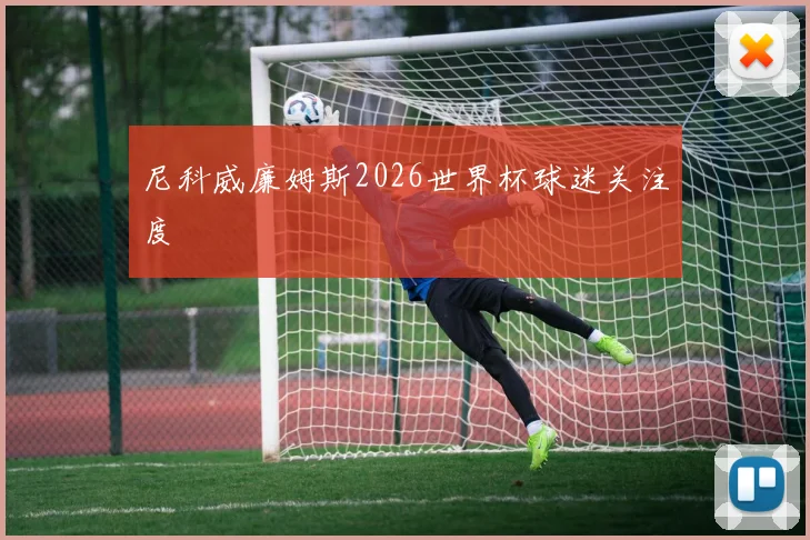 尼科威廉姆斯2026世界杯球迷关注度