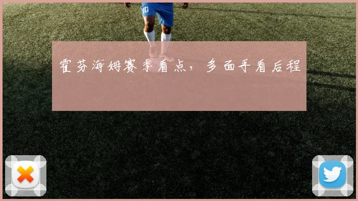霍芬海姆赛季看点，多面手看后程