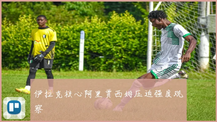 伊拉克核心阿里贾西姆压迫强度观察